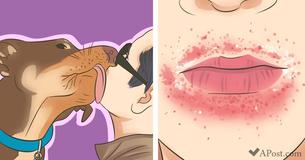 10 Disease You Can Get From Your Pets - Tips To Prevent 10 Disease You Can Get From Your Pets - Tips To Prevent