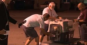 Anxious His Adopted Dog Won't Remember Him, Military Man Opens Cage On Live TV To See If She Does Anxious His Adopted Dog Won't Remember Him, Military Man Opens Cage On Live TV To See If She Does