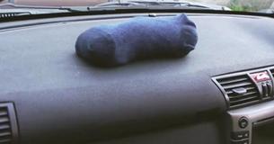 This Winter, If You Notice A Sock On A Car Dashboard, Here's What It Means This Winter, If You Notice A Sock On A Car Dashboard, Here's What It Means
