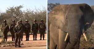 The UK Is Sending Soldiers To Africa To Aid In Anti-Poaching Efforts The UK Is Sending Soldiers To Africa To Aid In Anti-Poaching Efforts