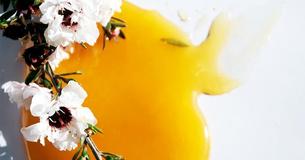 Manuka Honey Hailed As Miraculous Antibiotic By People Around The World Manuka Honey Hailed As Miraculous Antibiotic By People Around The World