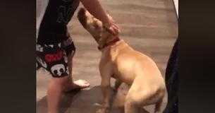 Young Boy Is Overjoyed As Puppy, Allegedly Stolen From Yard, Comes Back Young Boy Is Overjoyed As Puppy, Allegedly Stolen From Yard, Comes Back