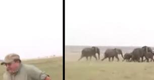 Two Hunters Shoot Elephant, Herd Violently Charges Them In Response Two Hunters Shoot Elephant, Herd Violently Charges Them In Response