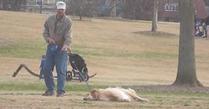 PARK-GOERS IN TEARS AS DOG REFUSES TO LEAVE WITH HIS OWNER PARK-GOERS IN TEARS AS DOG REFUSES TO LEAVE WITH HIS OWNER