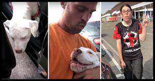 Stilladsarbejder Befrier Hunde Fra En Låst Bil I 33 Graders Varme Og Konfrontere Ejeren Stilladsarbejder Befrier Hunde Fra En Låst Bil I 33 Graders Varme Og Konfrontere Ejeren
