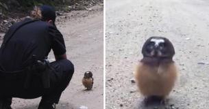 Une policière découvre un bébé hibou et leur adorable conversation fait le buzz Une policière découvre un bébé hibou et leur adorable conversation fait le buzz