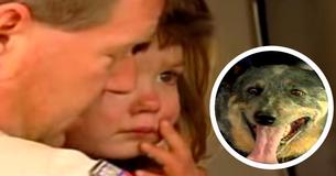 Desaparece niña de 3 años. 15 horas después es encontrada con un perro recostado junto a ella. Desaparece niña de 3 años. 15 horas después es encontrada con un perro recostado junto a ella.