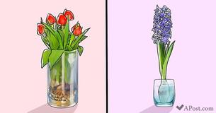 All You Need To Grow These 19 Flowers & Vegetables Is A Glass Of Water All You Need To Grow These 19 Flowers & Vegetables Is A Glass Of Water