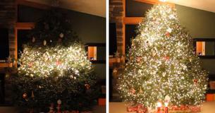 Dad Takes Christmas Tree Decoration To An Epic New Level With Lights And Music Dad Takes Christmas Tree Decoration To An Epic New Level With Lights And Music