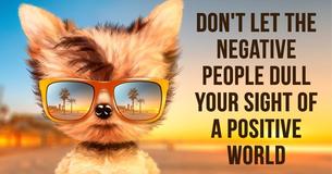 7 Ways To Not Let Toxic Behaviors Affect You 7 Ways To Not Let Toxic Behaviors Affect You