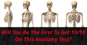 Literally Zero People Can Get 10/10 On This Anatomy Test. Prove Us Wrong? Literally Zero People Can Get 10/10 On This Anatomy Test. Prove Us Wrong?