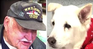 93-Years-Old War Veteran Adopts 13-Year-Old Dog Who Was Going To Be Put Down 93-Years-Old War Veteran Adopts 13-Year-Old Dog Who Was Going To Be Put Down