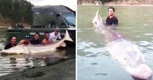 Un adolescent devient un héros local pour avoir attrapé un gigantesque poisson de plus de 3 mètres Un adolescent devient un héros local pour avoir attrapé un gigantesque poisson de plus de 3 mètres