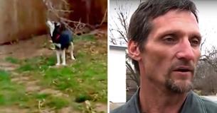 Un homme reçoit un message 6 ans après le vol de son chien dans la cour arrière . Cela lui fait avoir la chair de poule. Un homme reçoit un message 6 ans après le vol de son chien dans la cour arrière . Cela lui fait avoir la chair de poule.