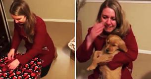 Man Gifts Wife Puppy For Christmas And Her Reaction Is Warming Our Hearts Man Gifts Wife Puppy For Christmas And Her Reaction Is Warming Our Hearts
