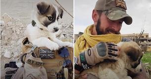 Cet enregistrement du soldat se réunissant avec le chiot qu'il a sauvé dans une zone de guerre il y a des mois, fait fondre les coeurs sur Internet Cet enregistrement du soldat se réunissant avec le chiot qu'il a sauvé dans une zone de guerre il y a des mois, fait fondre les coeurs sur Internet