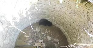 Man Finds Someone Who Needs His Help At Bottom Of Well After Hearing Cries Coming From Down There Man Finds Someone Who Needs His Help At Bottom Of Well After Hearing Cries Coming From Down There