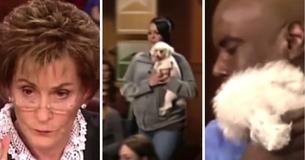Pour identifier le véritable maître, la Juge Judy demande de laisser le chien en liberté dans la salle d'audience pour qu'il puisse faire son propre choix. Pour identifier le véritable maître, la Juge Judy demande de laisser le chien en liberté dans la salle d'audience pour qu'il puisse faire son propre choix.