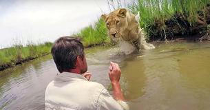 Un homme retourne voir deux lions qu'il avait sauvé sept ans plus tôt Un homme retourne voir deux lions qu'il avait sauvé sept ans plus tôt