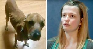 Un chien maltraité s'enfuit d'un propriétaire cruel et négligent pour aller chez la seule femme qui l'a traité gentiment Un chien maltraité s'enfuit d'un propriétaire cruel et négligent pour aller chez la seule femme qui l'a traité gentiment