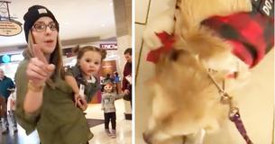 Une mère demande si son enfant peut caresser le chien d'assistance , ce à quoi le maître a catégoriquement répondu «non». Elle n'avait pas dit son dernier mot. Une mère demande si son enfant peut caresser le chien d'assistance , ce à quoi le maître a catégoriquement répondu «non». Elle n'avait pas dit son dernier mot.