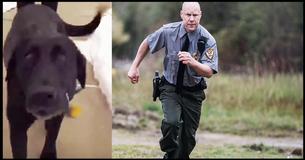 Frantic Labrador Begs Cop To Follow Him - A Bit Later, Both Are Heroes Frantic Labrador Begs Cop To Follow Him - A Bit Later, Both Are Heroes