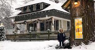 Woman Turns 110-Year-Old Tree Into A Fairytale-Like Free (Tree) Library Woman Turns 110-Year-Old Tree Into A Fairytale-Like Free (Tree) Library