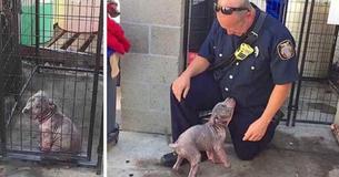 Cute Puppy Overjoyed When Firefighter Who Rescued Her Comes To Visit Cute Puppy Overjoyed When Firefighter Who Rescued Her Comes To Visit