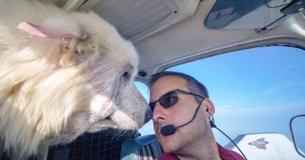 Homeless Dog Saved From Death Row Is Too Excited to Leave Pilot’s Side As He Flies To New Home Homeless Dog Saved From Death Row Is Too Excited to Leave Pilot’s Side As He Flies To New Home