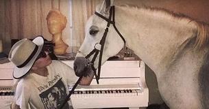 Lady Gaga Sprints Home From Critics’ Choice Awards Show To Say Goodbye To Her Beloved Horse Lady Gaga Sprints Home From Critics’ Choice Awards Show To Say Goodbye To Her Beloved Horse