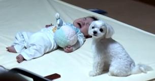 Mom Could Not Calm Her Crying Baby So The Dog Came Up With A Unique Method Mom Could Not Calm Her Crying Baby So The Dog Came Up With A Unique Method