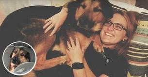Dad Babysits Daughter’s Dog. His Hysterical Updates Of Him And The Dog Having Fun Go Viral Dad Babysits Daughter’s Dog. His Hysterical Updates Of Him And The Dog Having Fun Go Viral