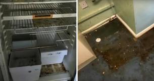 Madre entra en la casa de una vecina por primera vez en 21 años: Madre entra en la casa de una vecina por primera vez en 21 años: