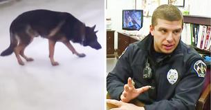 Officers Rescued Scared Dog Who Became Trapped On Thin Ice In Ohio’s Arctic Temps Officers Rescued Scared Dog Who Became Trapped On Thin Ice In Ohio’s Arctic Temps