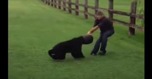 Heroes Save Bear With Bucket Lodged On Its Head Heroes Save Bear With Bucket Lodged On Its Head