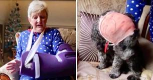 Grand-mère de trois chanceuse de survivre après avoir été attaquée par deux chiens pendant sa promenade Grand-mère de trois chanceuse de survivre après avoir été attaquée par deux chiens pendant sa promenade