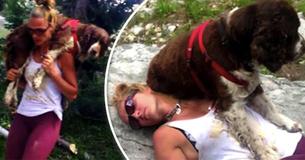 Woman Heroicly Walks 6 Miles Down The Rough Hill Carrying An Injured Lost Hound On Her Shoulders Woman Heroicly Walks 6 Miles Down The Rough Hill Carrying An Injured Lost Hound On Her Shoulders