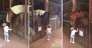 Little Girl Falls In Love With Uncle’s Horses And Shows Mom Their Adorable Morning Schedule Little Girl Falls In Love With Uncle’s Horses And Shows Mom Their Adorable Morning Schedule