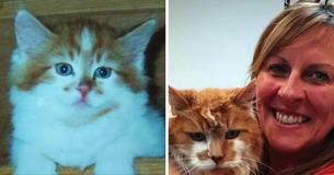 Owner Adopted A Cat In 1988, But She Never Expected She Would Throw Him A Party 30 Years Later Owner Adopted A Cat In 1988, But She Never Expected She Would Throw Him A Party 30 Years Later