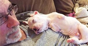 Doctors Said Two-Legged Dog Had No Chance Of Survival, Years Later He’s Still Defying The Odds Doctors Said Two-Legged Dog Had No Chance Of Survival, Years Later He’s Still Defying The Odds