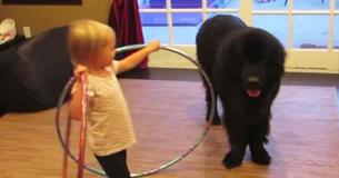 Little Girl Shows Dog New Hula Hoop Then Dog's Next Move Has Everyone Losing It Little Girl Shows Dog New Hula Hoop Then Dog's Next Move Has Everyone Losing It