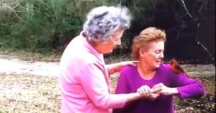 Family Mourning Death Of Mom Who Loved Cardinals Gets Breathtaking Visit From Wild Bird Family Mourning Death Of Mom Who Loved Cardinals Gets Breathtaking Visit From Wild Bird