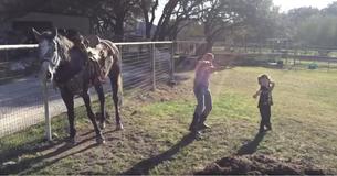 Young Girls Start Dancing To Pop Song But The Horse Is The One That Has The Internet Losing It Young Girls Start Dancing To Pop Song But The Horse Is The One That Has The Internet Losing It