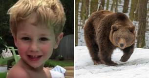 3-Year-Old Boy Who Survived In The Woods For 2 Nights In Freezing Cold Says A Friendly Bear Kept Him Safe 3-Year-Old Boy Who Survived In The Woods For 2 Nights In Freezing Cold Says A Friendly Bear Kept Him Safe