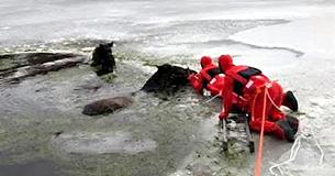 Rescuers Finish Immense Task Of Saving Two Clydesdale Horses Trapped In Frozen Lake Rescuers Finish Immense Task Of Saving Two Clydesdale Horses Trapped In Frozen Lake