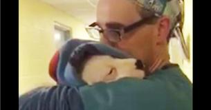 Assistant Vet Comforts Rescued Dog After Surgery Assistant Vet Comforts Rescued Dog After Surgery