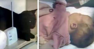 Kitty Makes Strange Noises Over Baby Monitor – Mom Checks Baby’s Bedroom And Sprints For The Phone Kitty Makes Strange Noises Over Baby Monitor – Mom Checks Baby’s Bedroom And Sprints For The Phone
