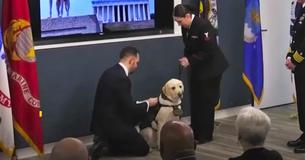 George H.W. Bush’s Service Dog Sully Begins New Job With U.S. Navy George H.W. Bush’s Service Dog Sully Begins New Job With U.S. Navy