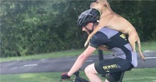Cyclist Finds Injured Stray Crawling From Woods 7 Miles From Town And Refuses To Leave Him Behind Cyclist Finds Injured Stray Crawling From Woods 7 Miles From Town And Refuses To Leave Him Behind