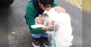Un chien maltraité était tellement malade qu'il ne pouvait pas être un animal de compagnie - Maintenant, il ne peut s'arrêter d'embrasser son nouveau propriétaire Un chien maltraité était tellement malade qu'il ne pouvait pas être un animal de compagnie - Maintenant, il ne peut s'arrêter d'embrasser son nouveau propriétaire